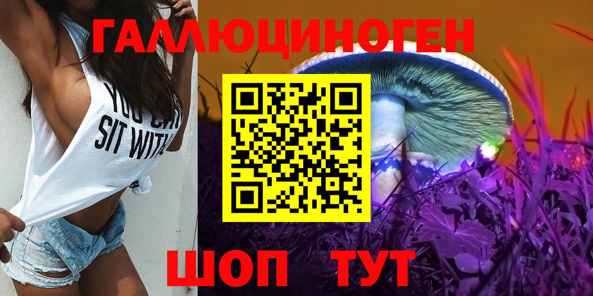 Ейск  Галлюциногенные грибы Psilocybe  Галлюциногенные грибы Psilocybine cubensis  Вход с VPN 